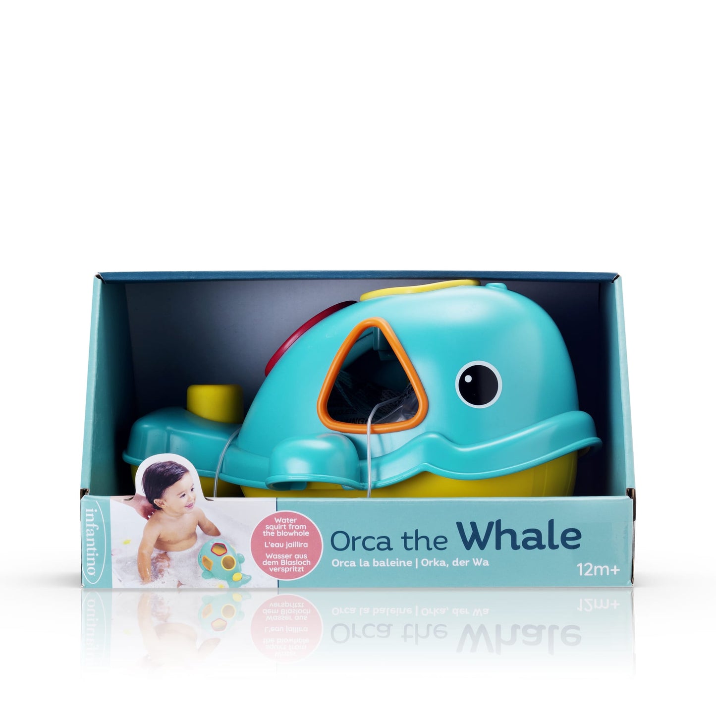 Orca the Whale