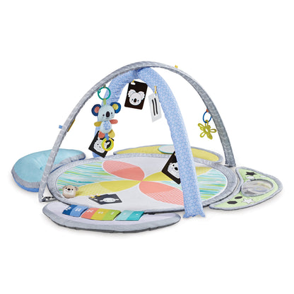 5-in-1 Epic Developmental Learning Gym