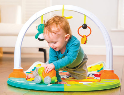 Watch Me Grow 3-In-1 Activity Gym