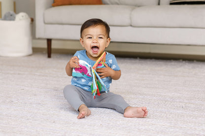 Link & Squeak Animal Crinkle Book
